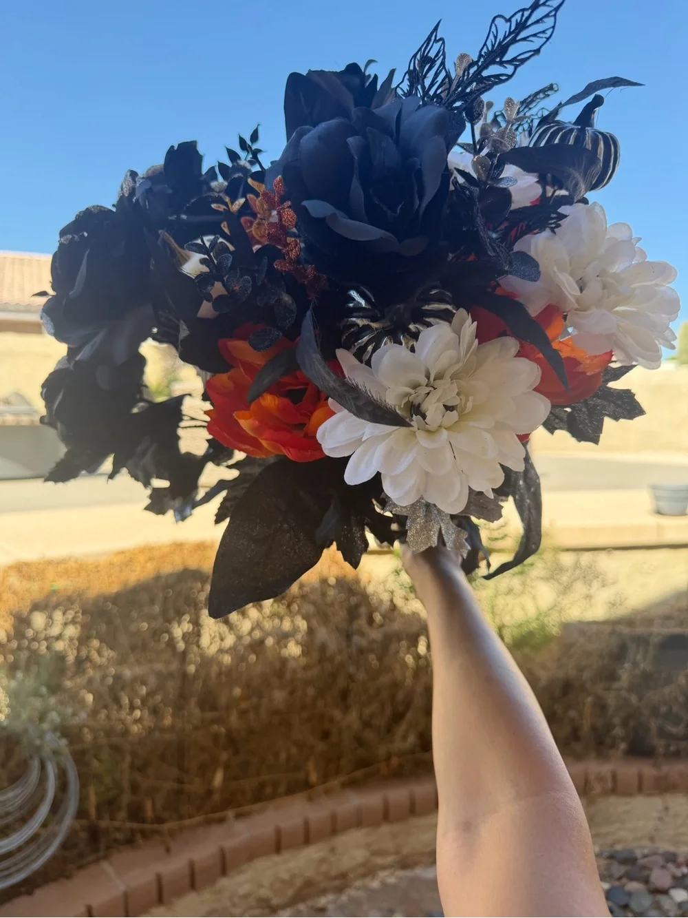 3 new Halloween zinia boquets new festive flowers